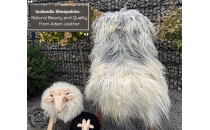 Peaux de mouton islandaises – Beauté naturelle et qualité chez Adam Leather